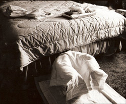 choosing home birth - 